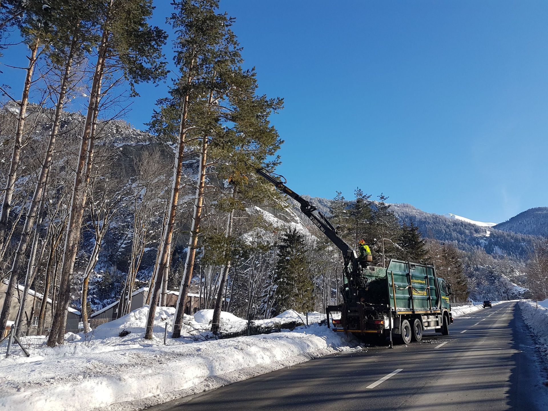 Andi Caviezel Holztransporte
