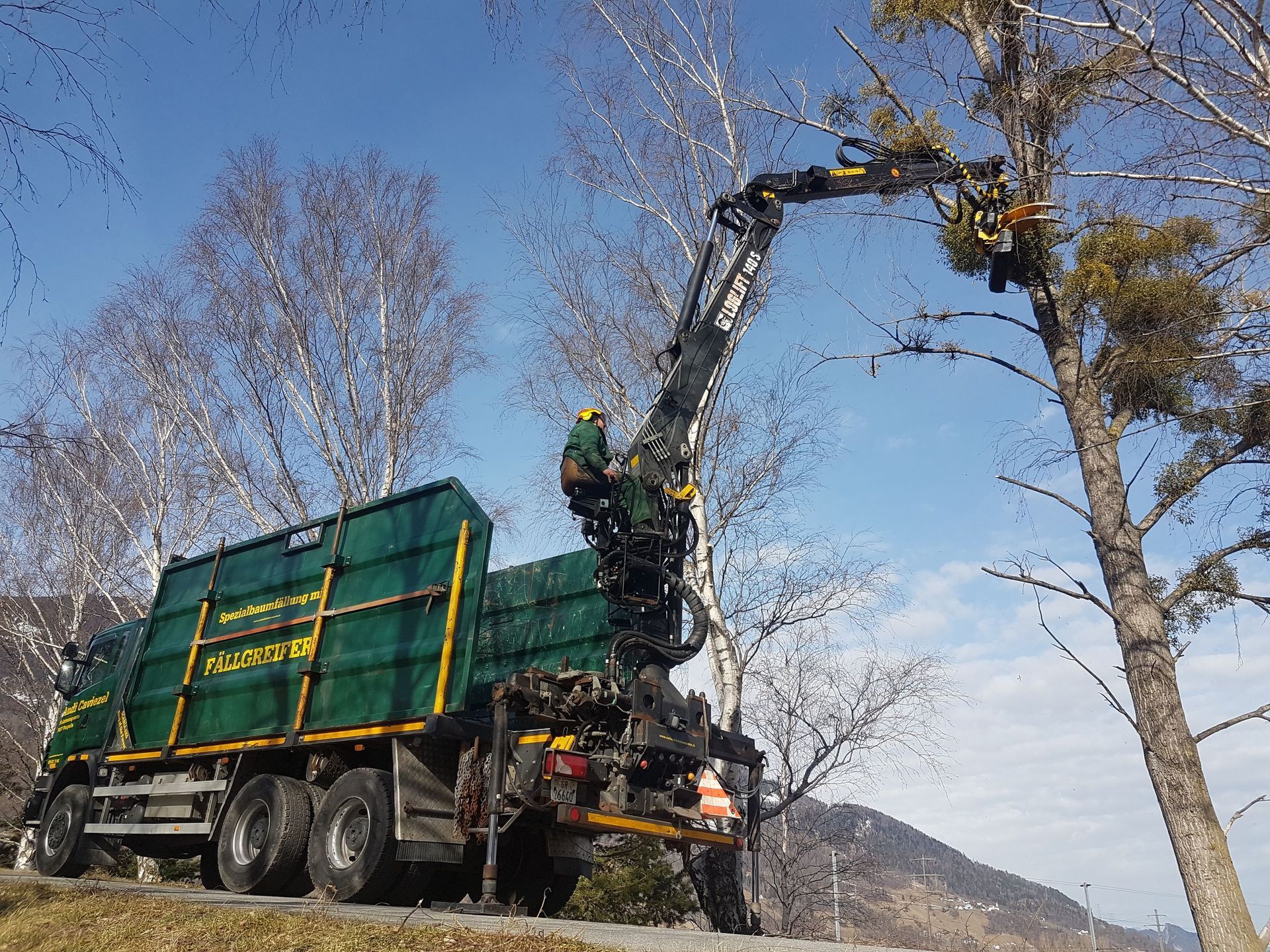 Andi Caviezel Holztransporte