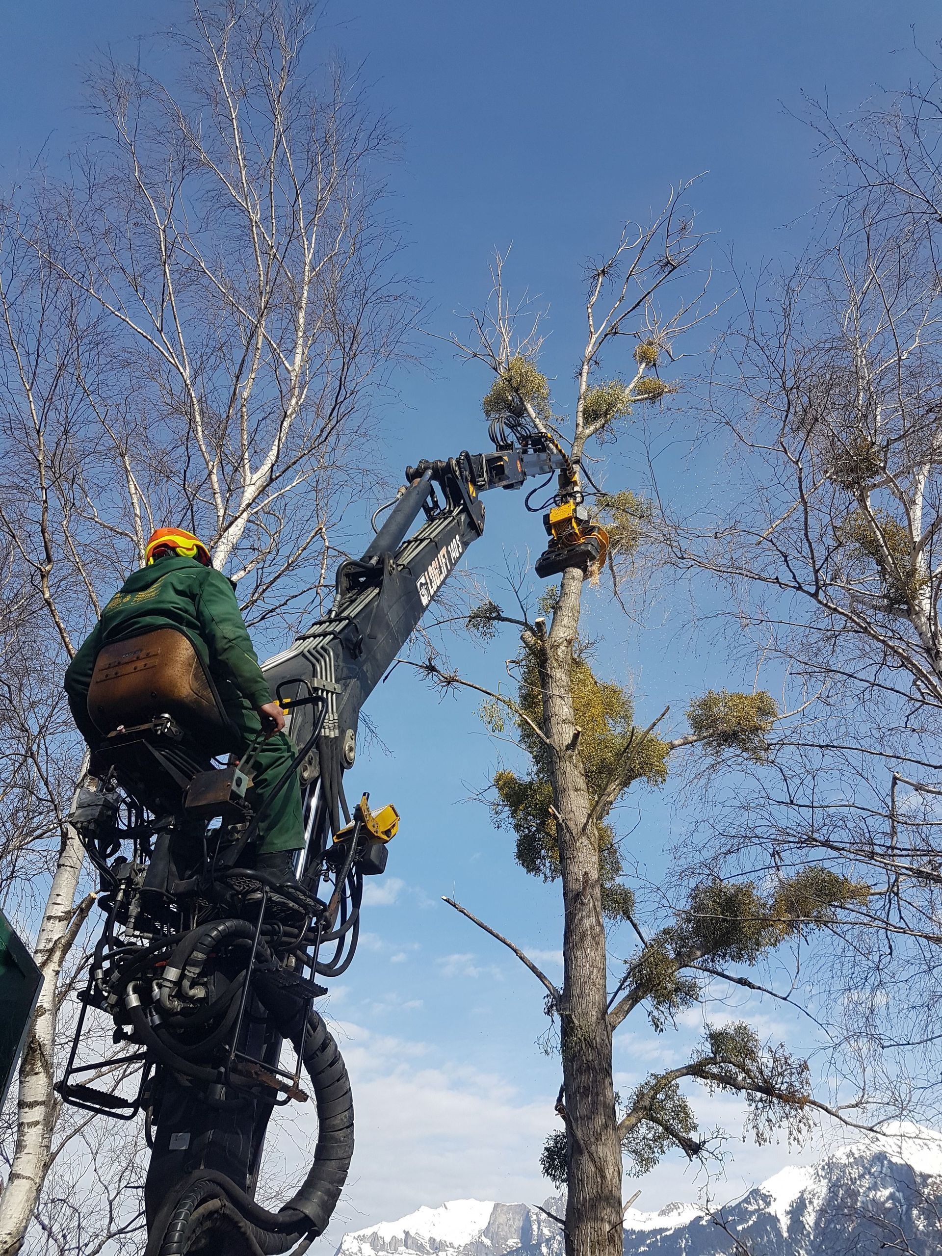 Andi Caviezel Holztransporte