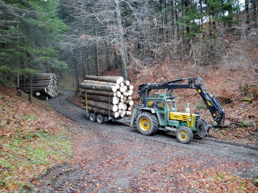 Andi Caviezel Holztransporte