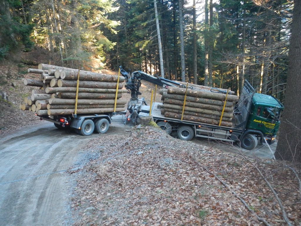 Andi Caviezel Holztransporte