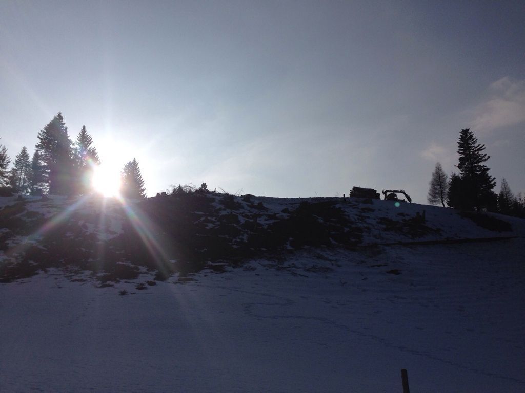 Andi Caviezel Holztransporte