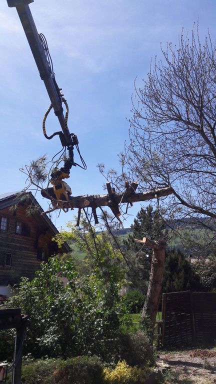 Andi Caviezel Holztransporte
