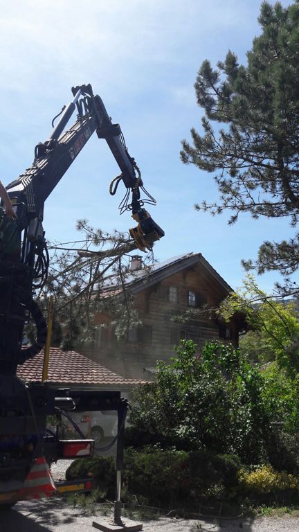 Andi Caviezel Holztransporte
