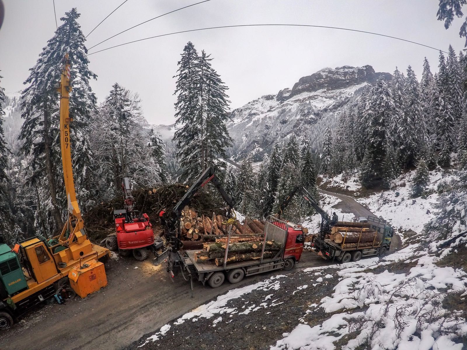 Andi Caviezel Holztransporte