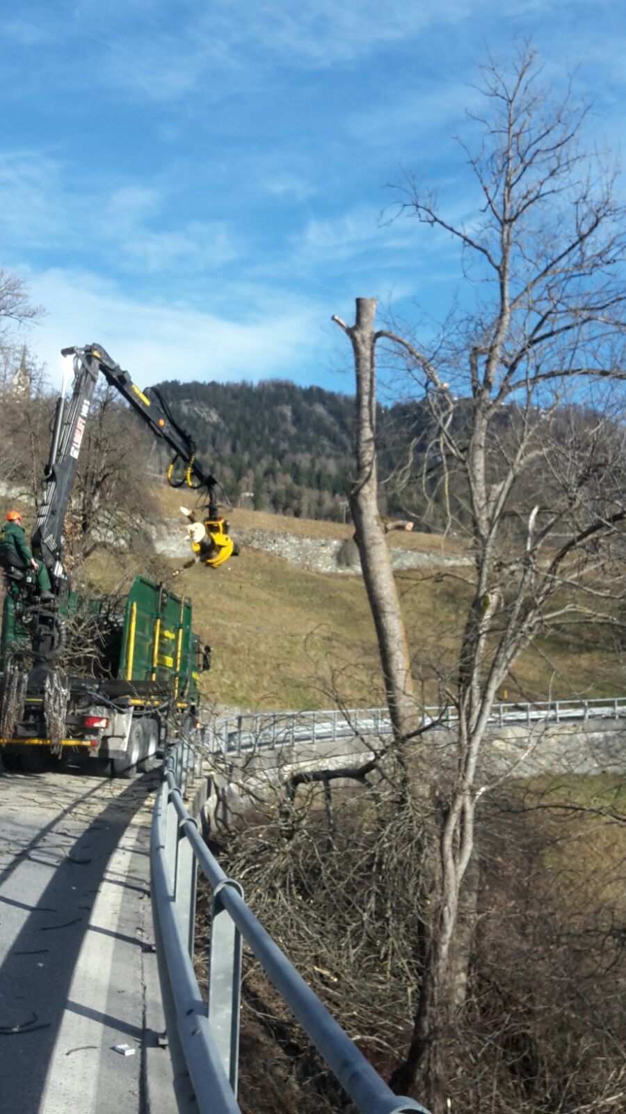 Andi Caviezel Holztransporte