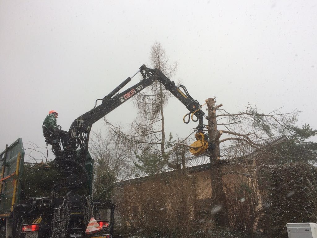 Andi Caviezel Holztransporte