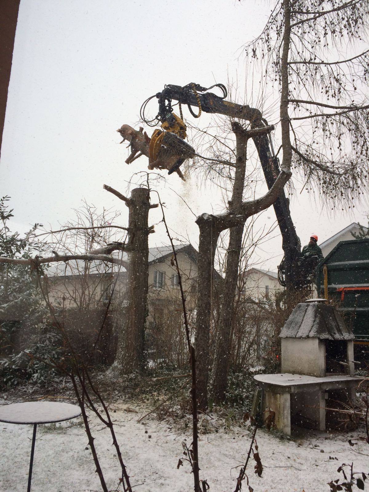 Andi Caviezel Holztransporte
