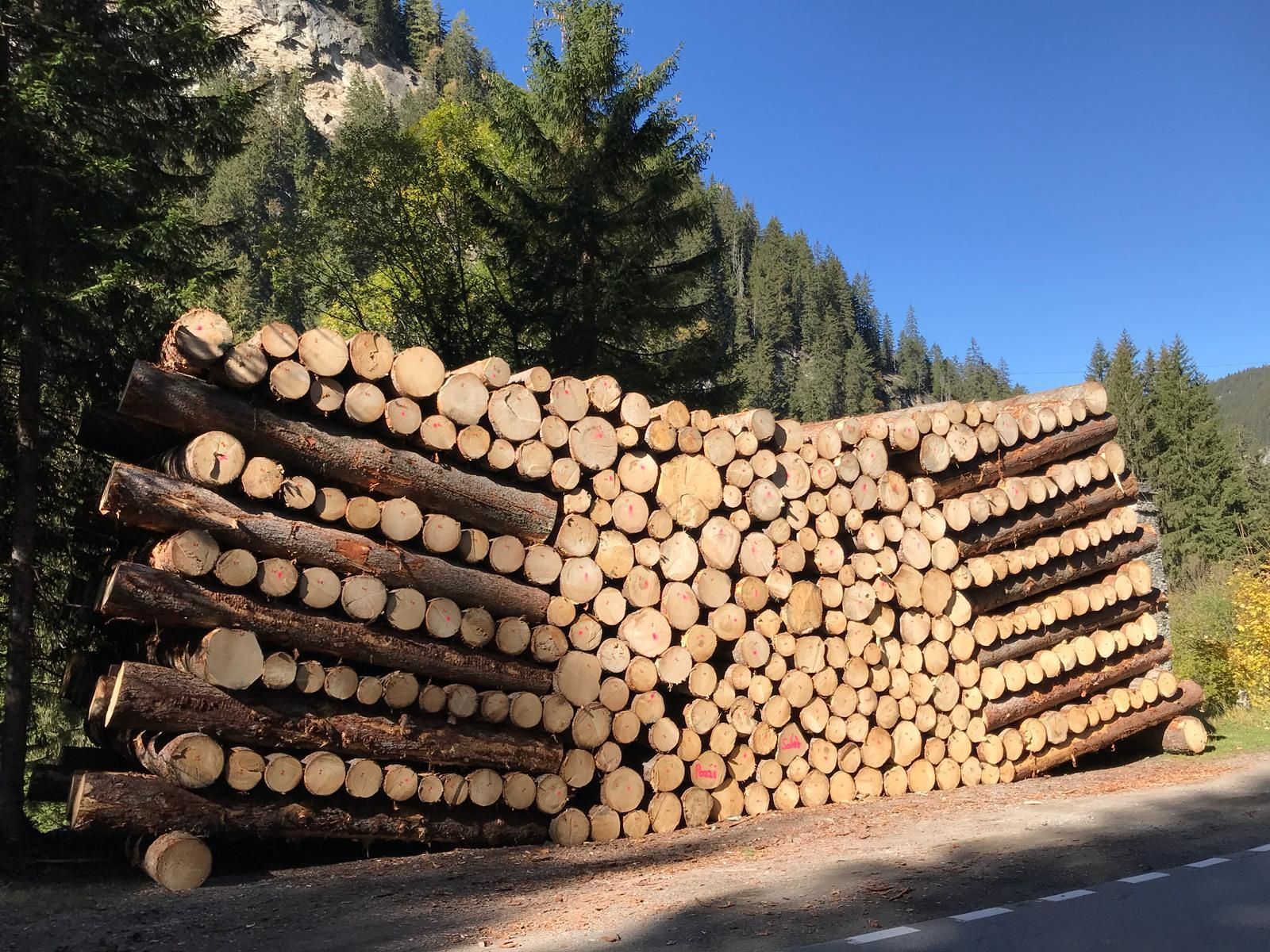 Andi Caviezel Holztransporte