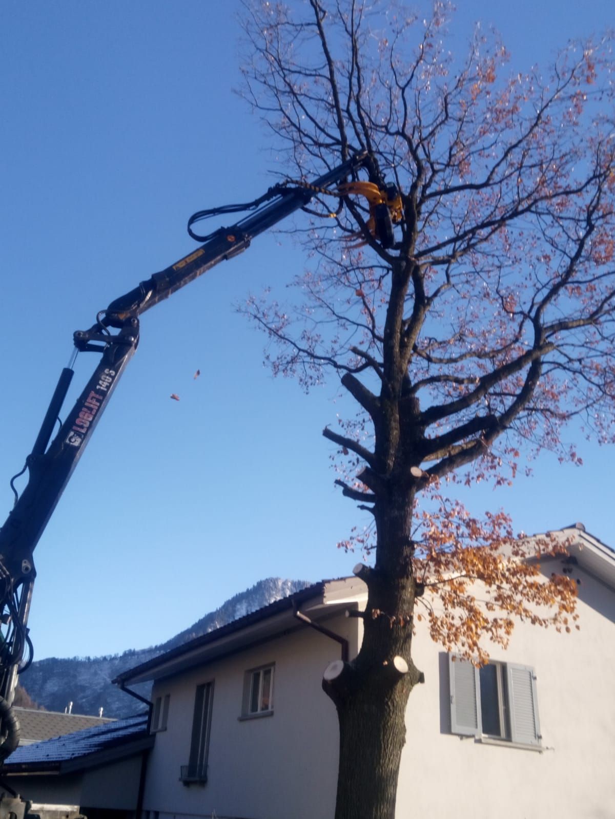 Andi Caviezel Holztransporte