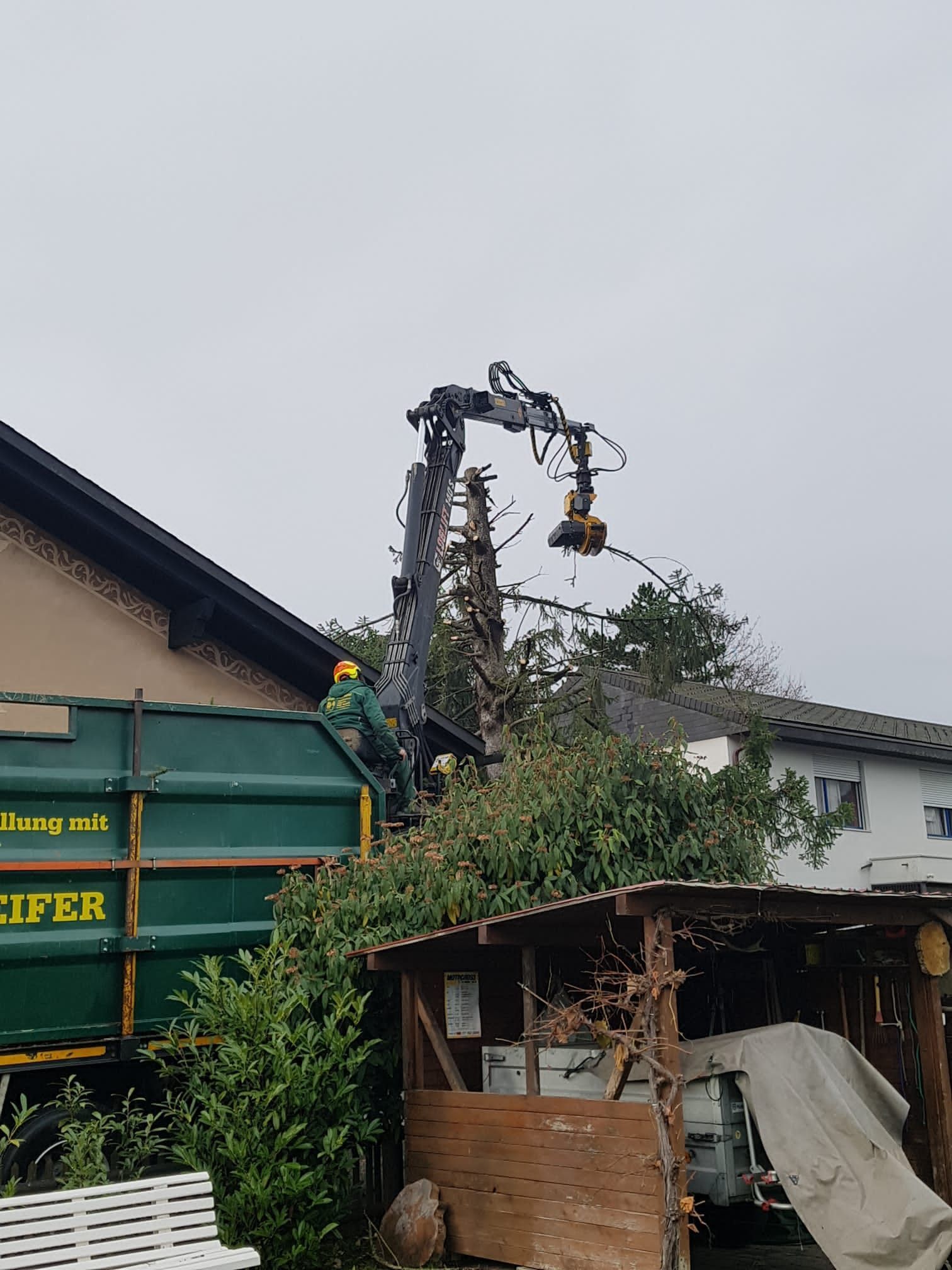 Andi Caviezel Holztransporte