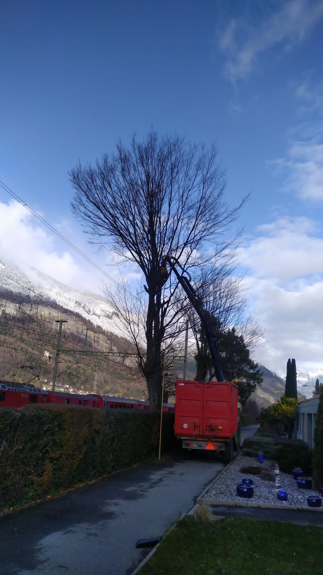 Andi Caviezel Holztransporte