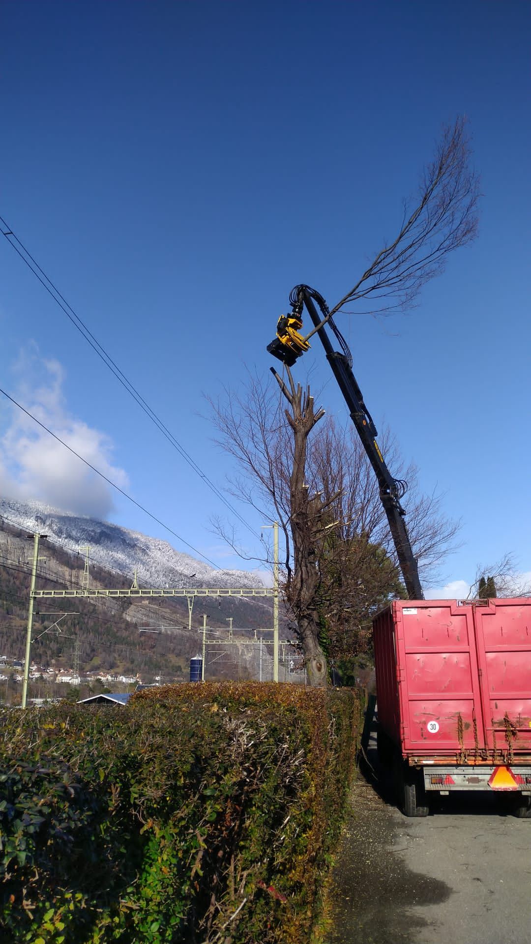 Andi Caviezel Holztransporte
