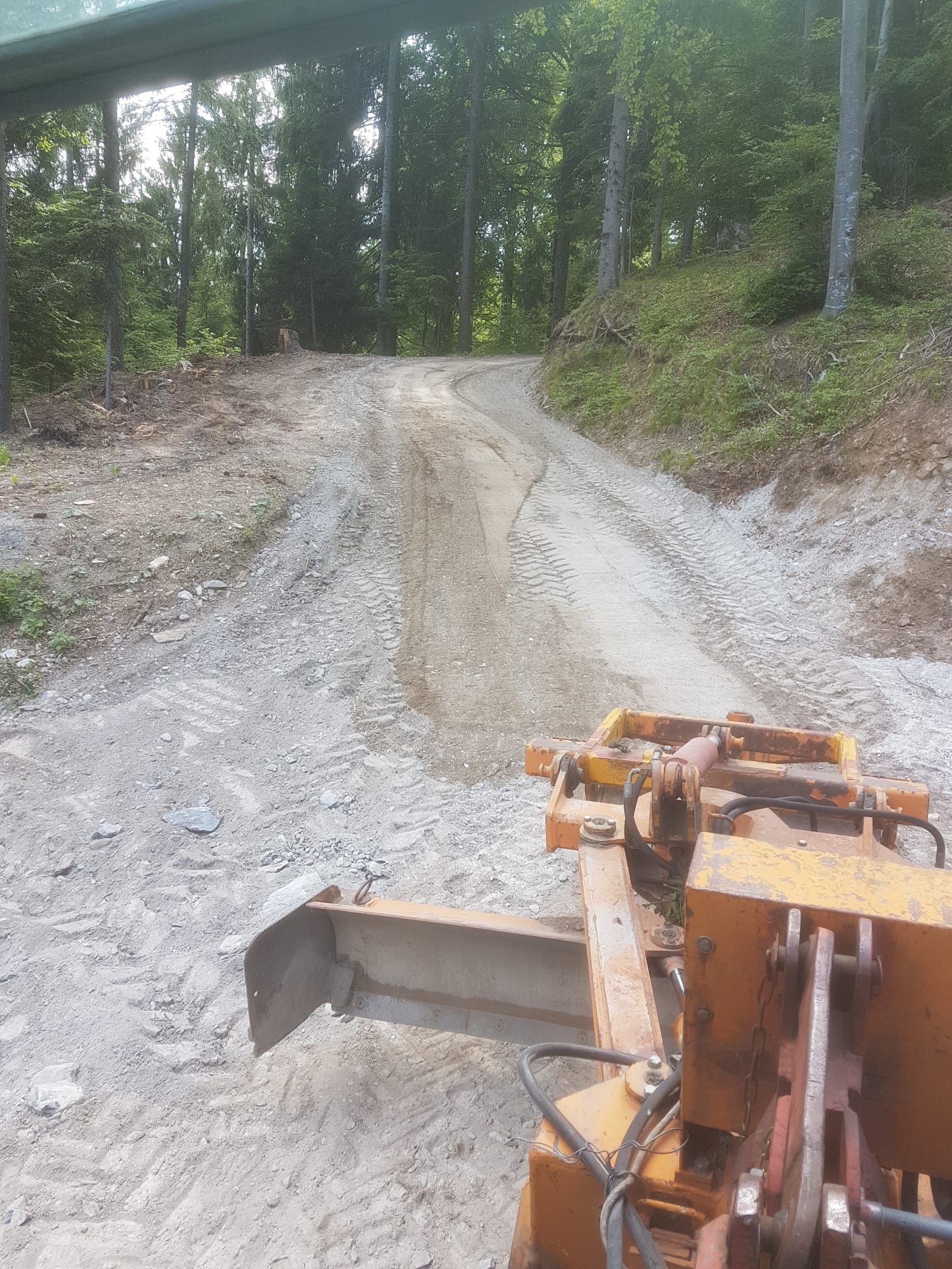 Andi Caviezel Holztransporte