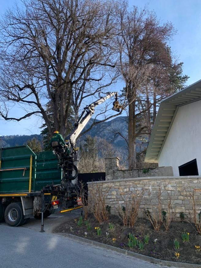 Andi Caviezel Holztransporte
