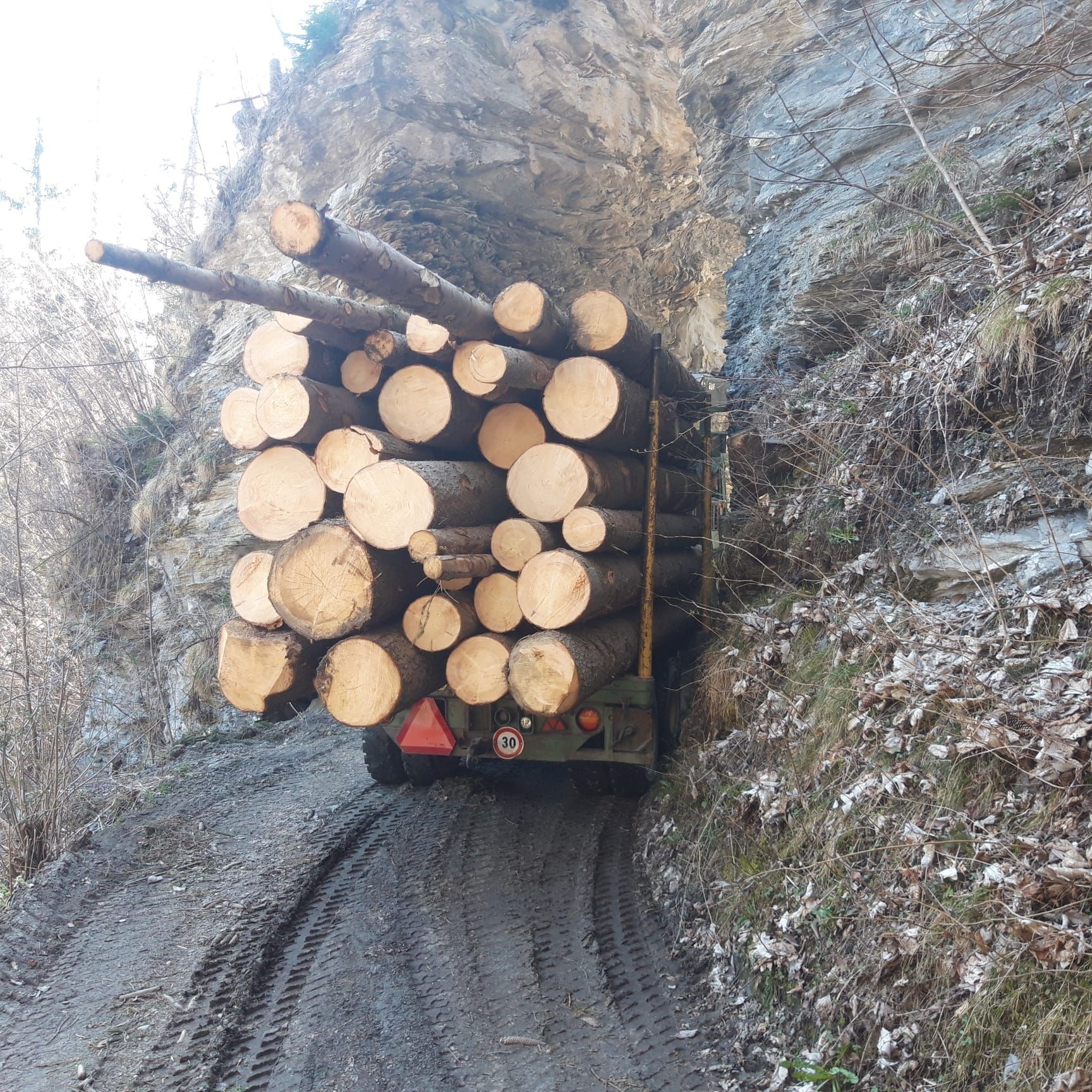 Andi Caviezel Holztransporte