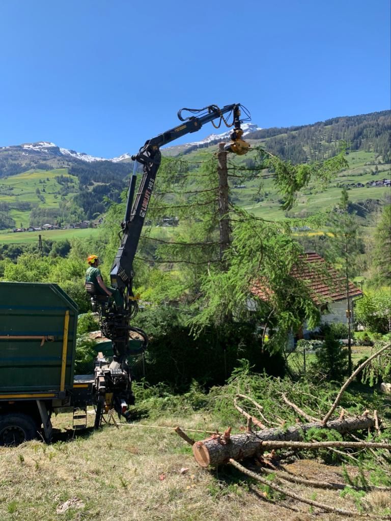 Andi Caviezel Holztransporte
