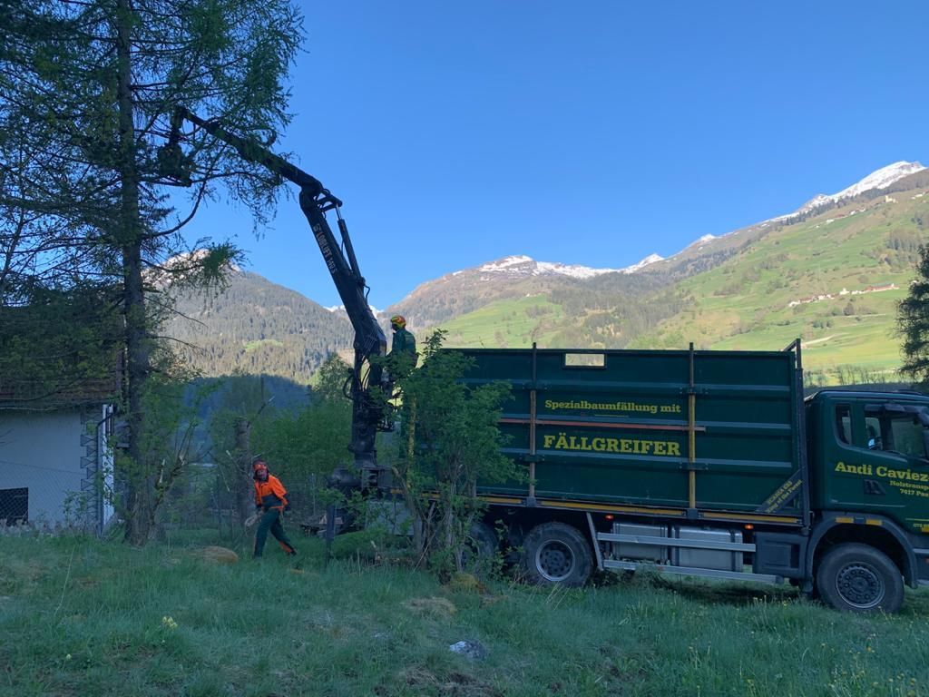 Andi Caviezel Holztransporte
