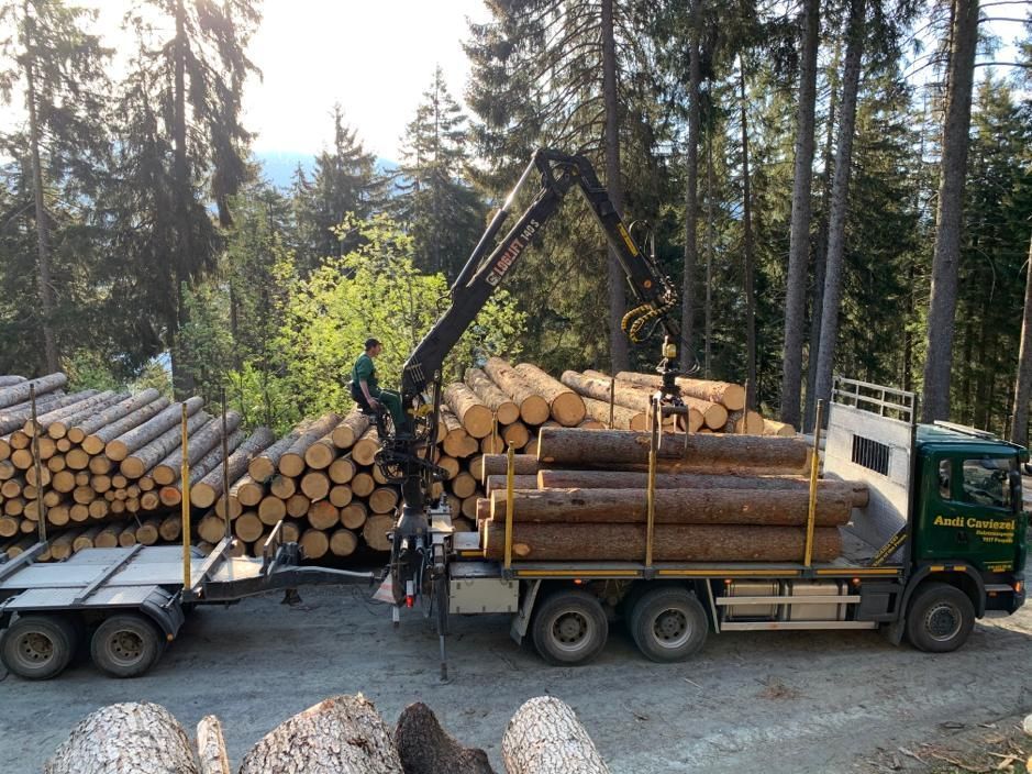Andi Caviezel Holztransporte
