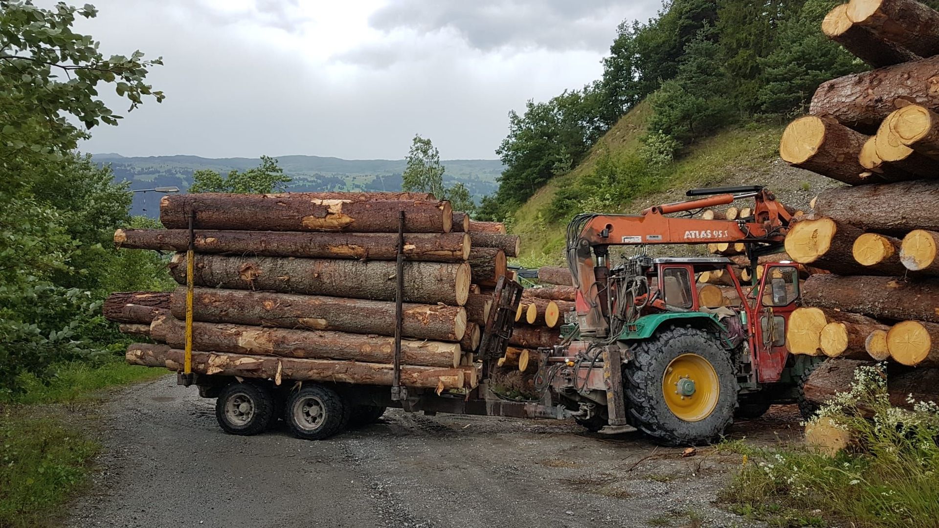 Andi Caviezel Holztransporte