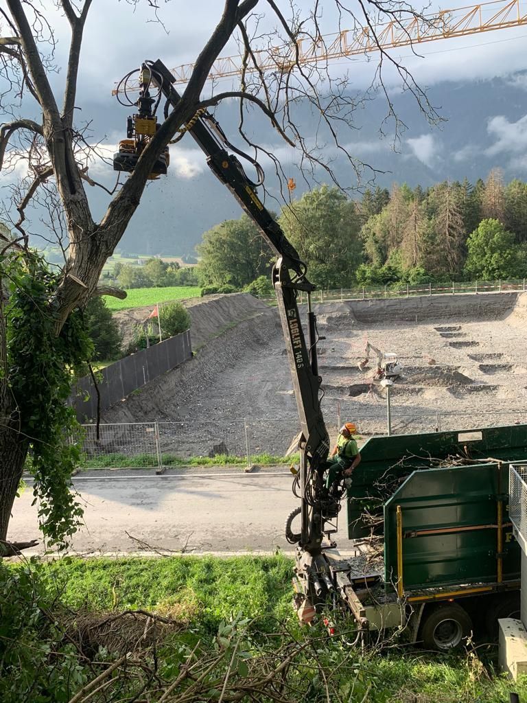 Andi Caviezel Holztransporte
