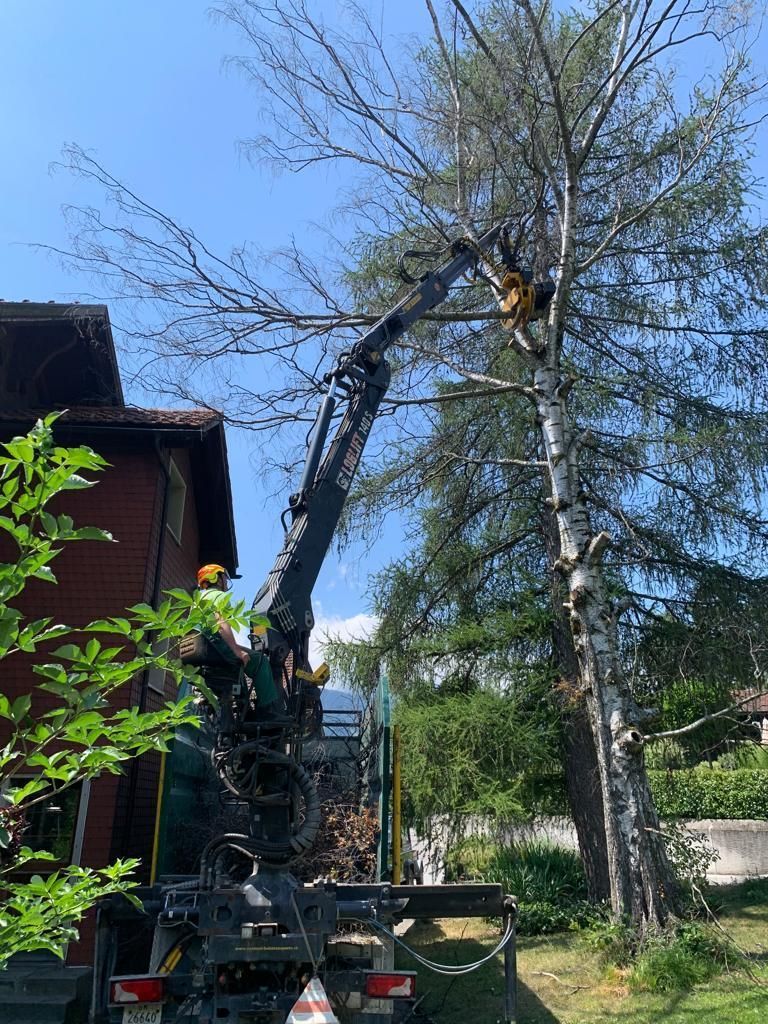 Andi Caviezel Holztransporte
