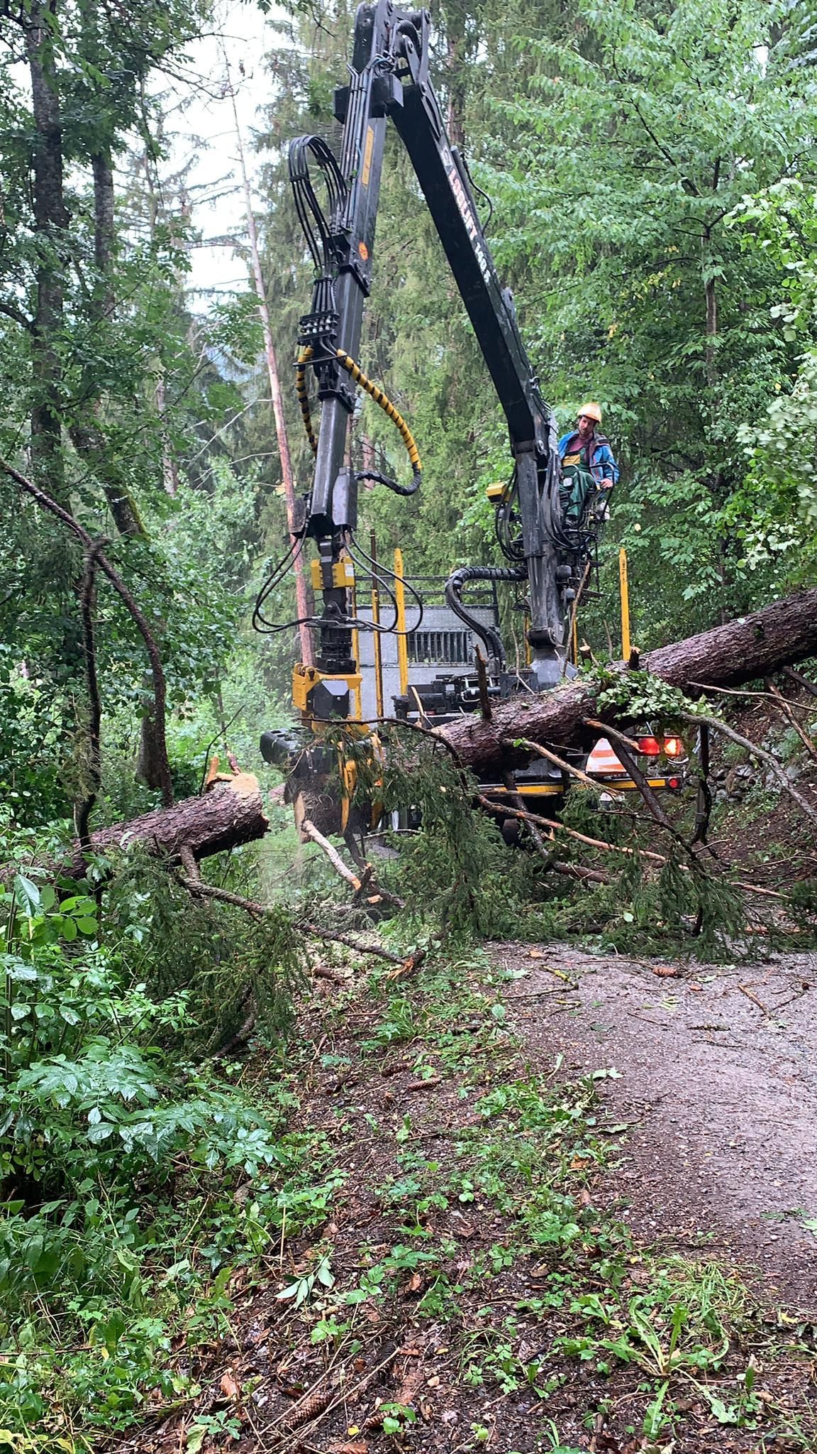 Andi Caviezel Holztransporte
