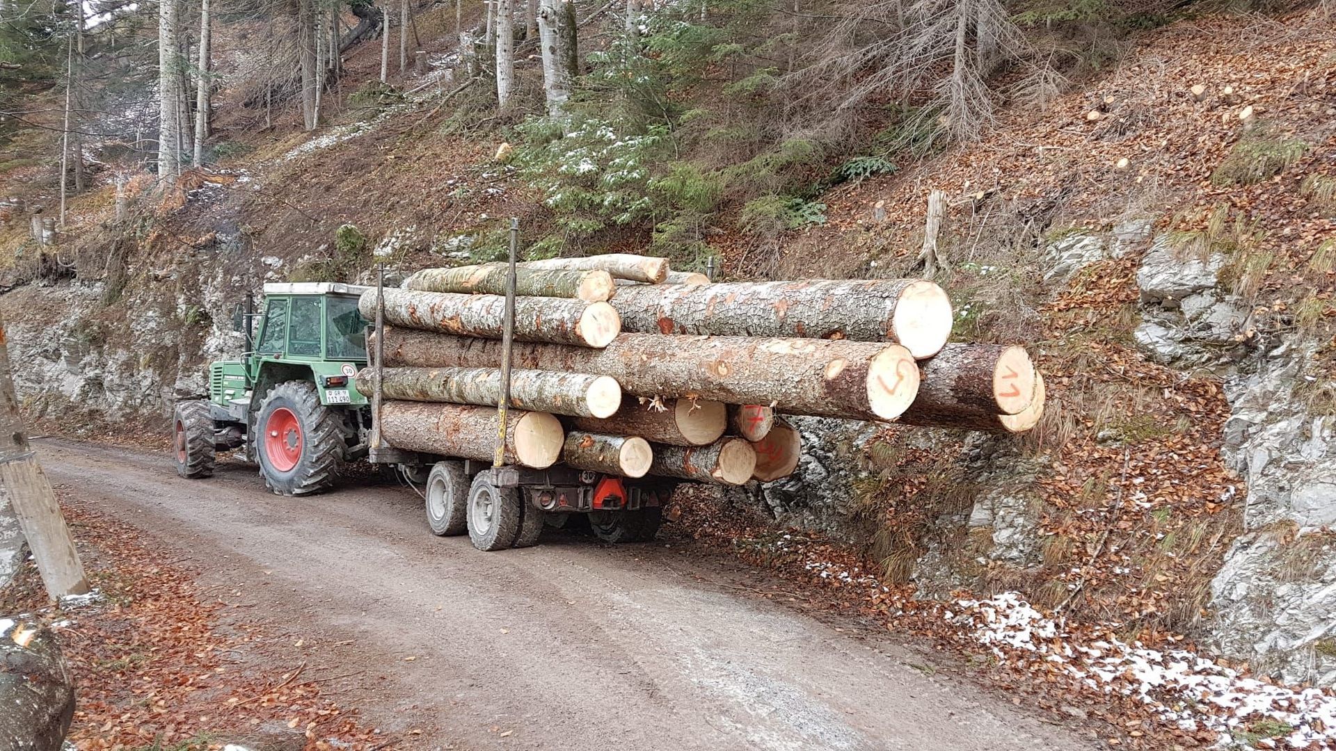 Andi Caviezel Holztransporte