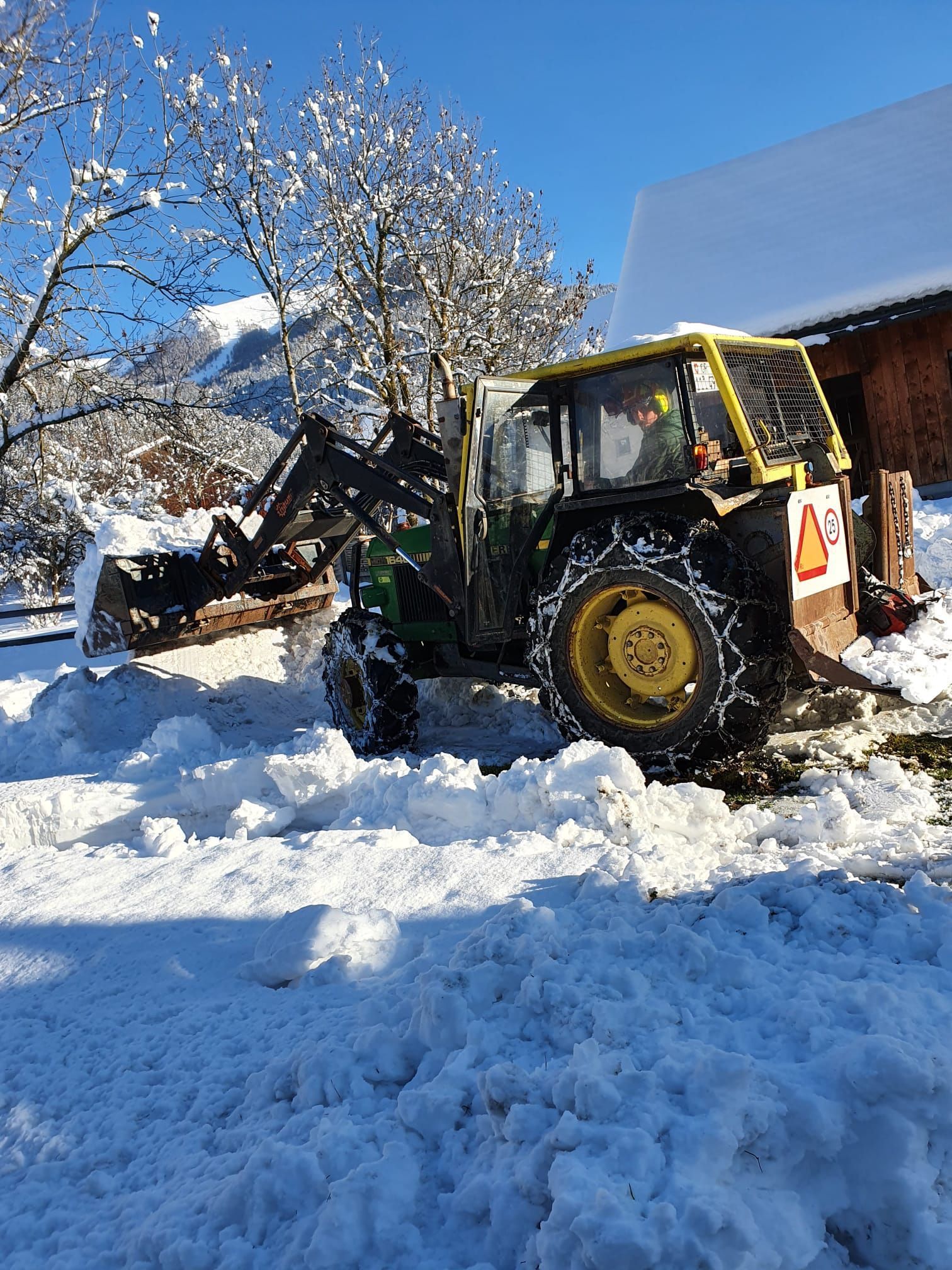 Andi Caviezel Holztransporte