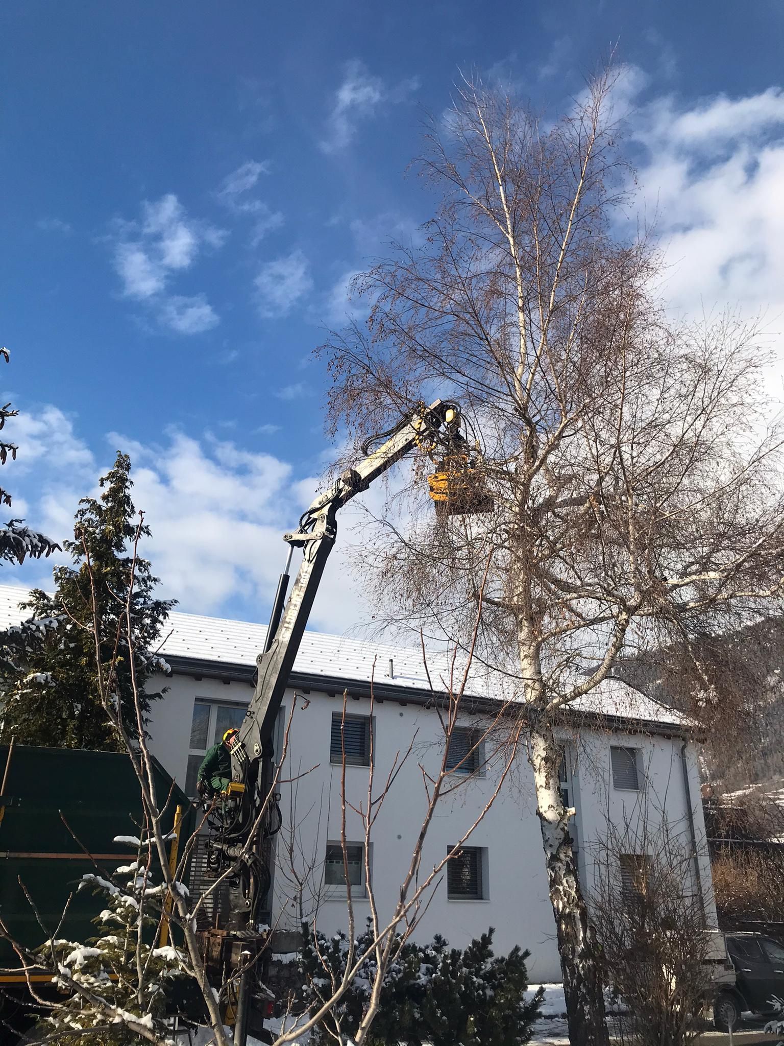 Andi Caviezel Holztransporte
