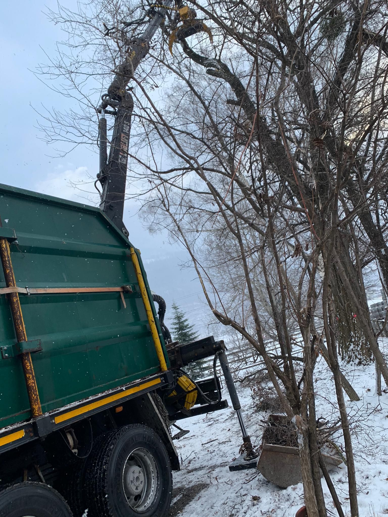 Andi Caviezel Holztransporte