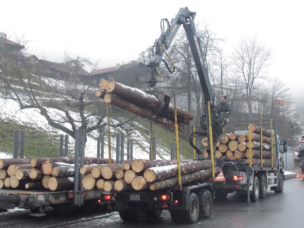 Andi Caviezel Holztransporte