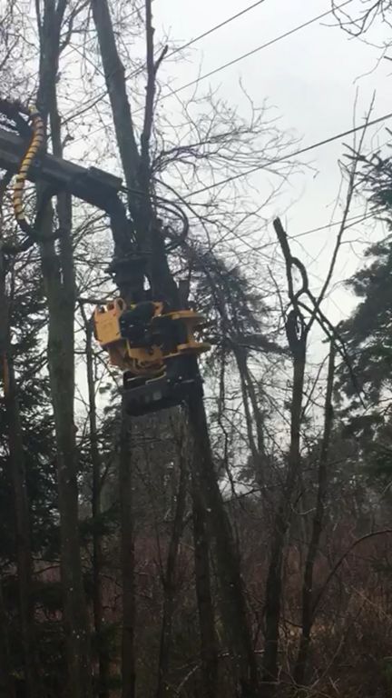 Andi Caviezel Holztransporte
