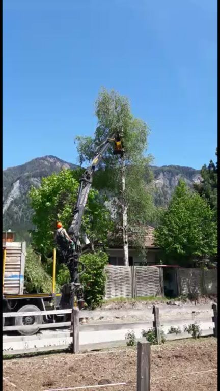 Andi Caviezel Holztransporte
