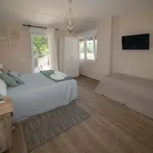 Dormitorio con cama, TV y puertas que dan a un patio. Ropa de cama azul claro y suelo de madera natural.