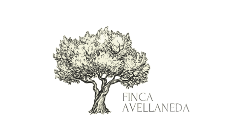 Logotipo de Finca Avellaneda: boceto de un olivo con p&aacute;jaros volando encima, texto debajo.