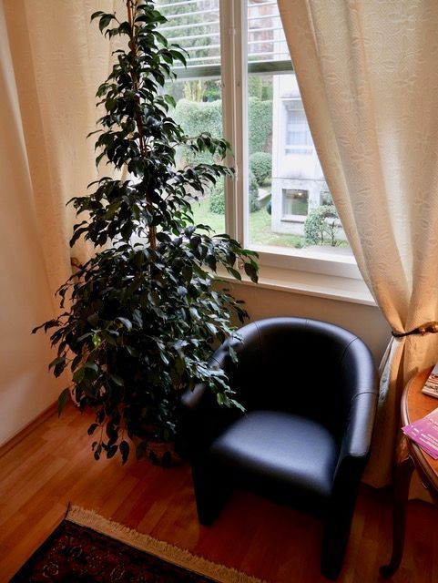 galerie-photos-cabinet-ana-assef-vaziri-psychologue-psychotherapeute-lausanne-vaud