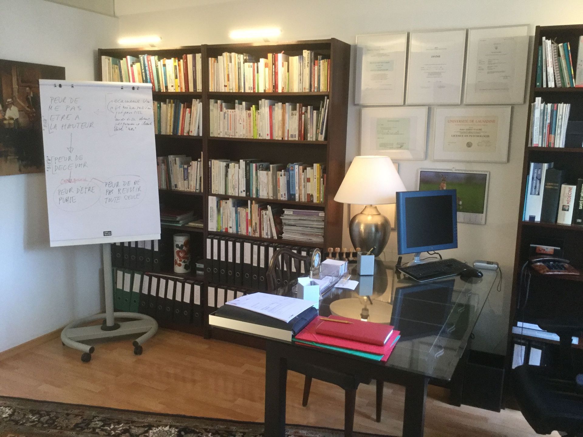 accueil-galerie-photos-cabinet-assef-vaziri-ana-psychologue-psychotherapeute-lausanne-vaud