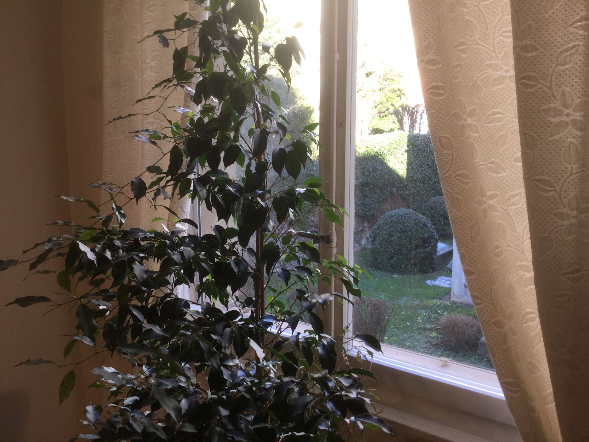 galerie-photos-cabinet-ana-assef-vaziri-psychologue-psychotherapeute-lausanne-vaud