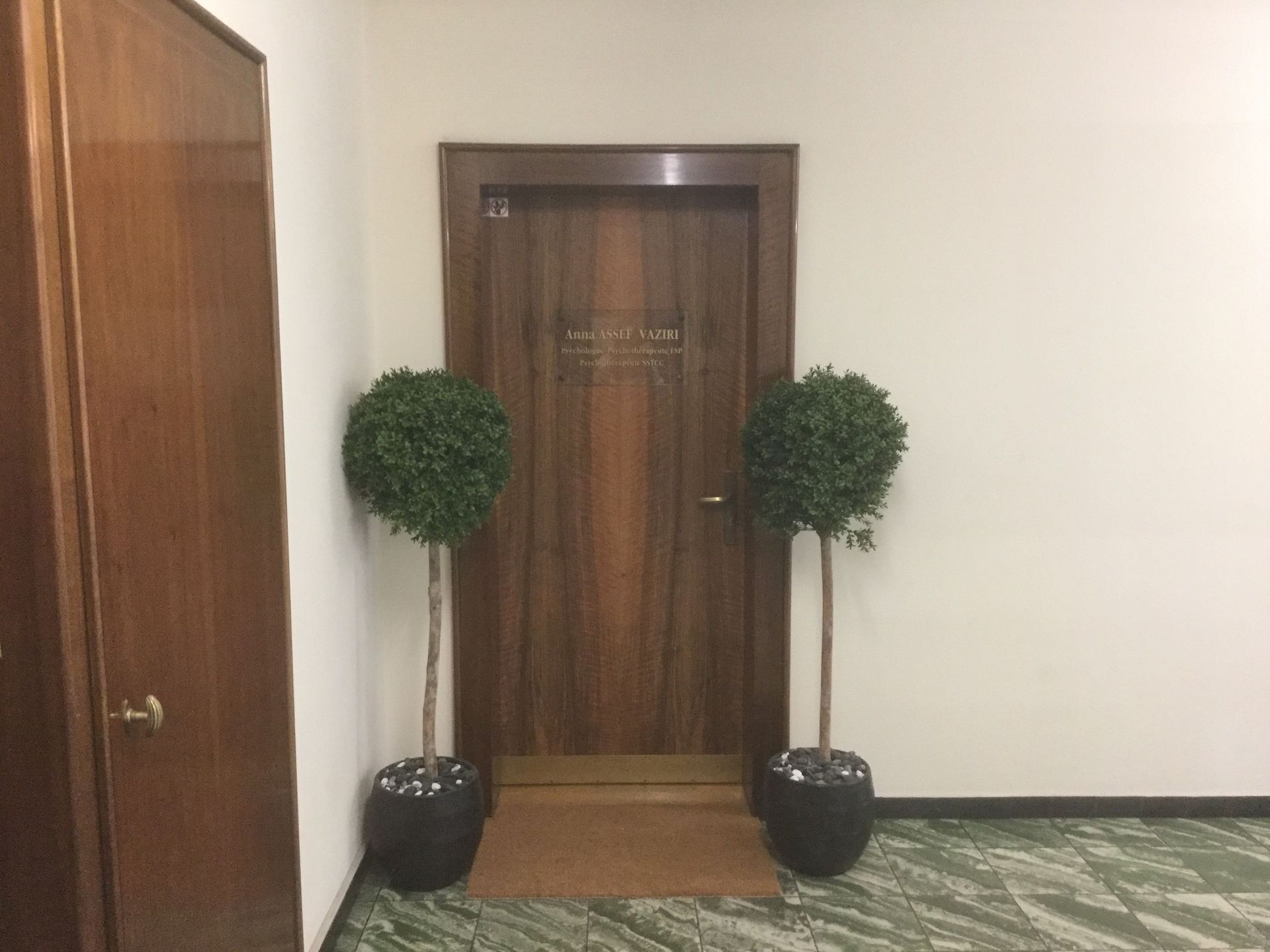 accueil-galerie-photos-cabinet-assef-vaziri-ana-psychologue-psychotherapeute-lausanne-vaud