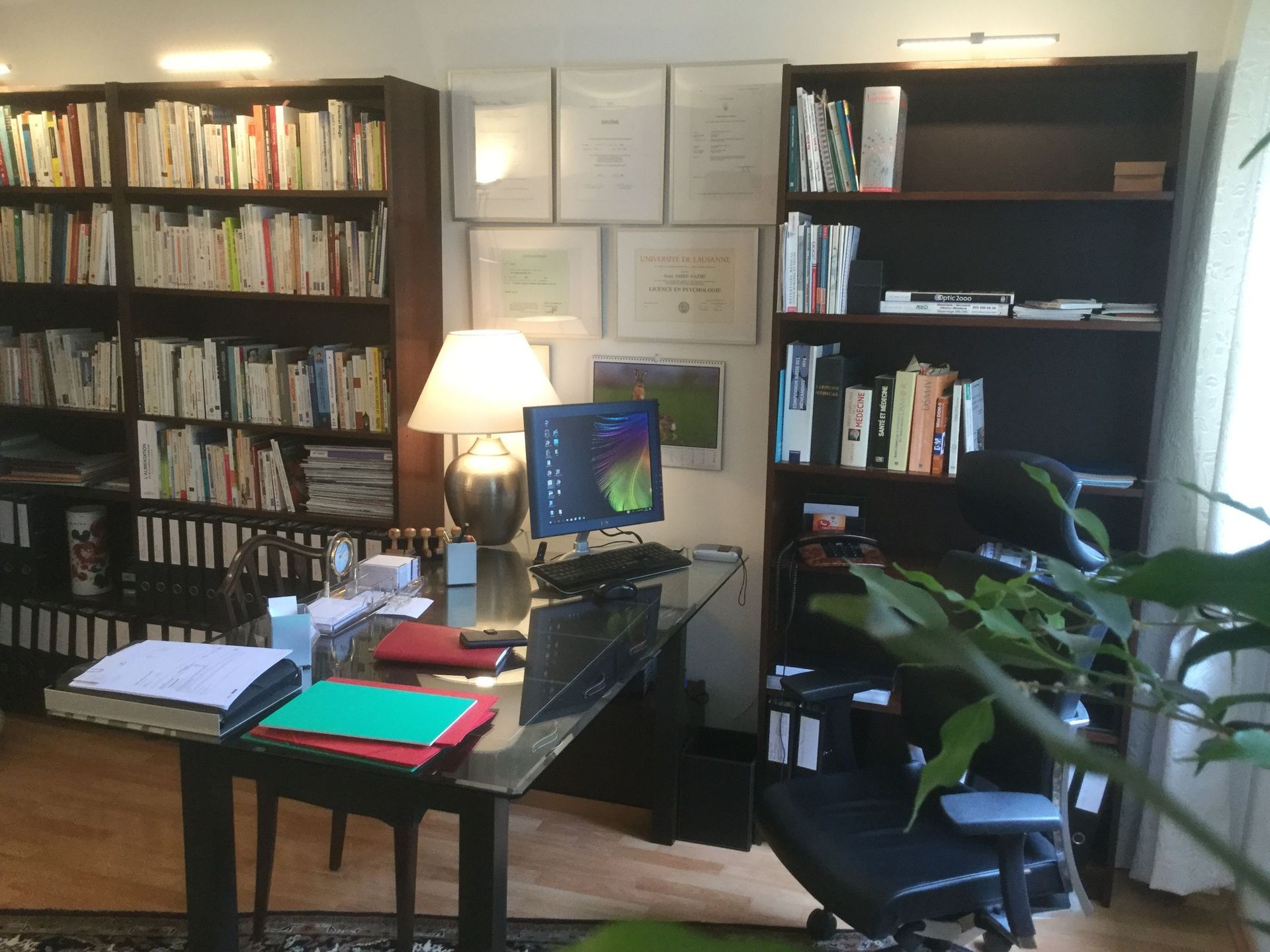 galerie-photos-cabinet-ana-assef-vaziri-psychologue-psychotherapeute-lausanne-vaud