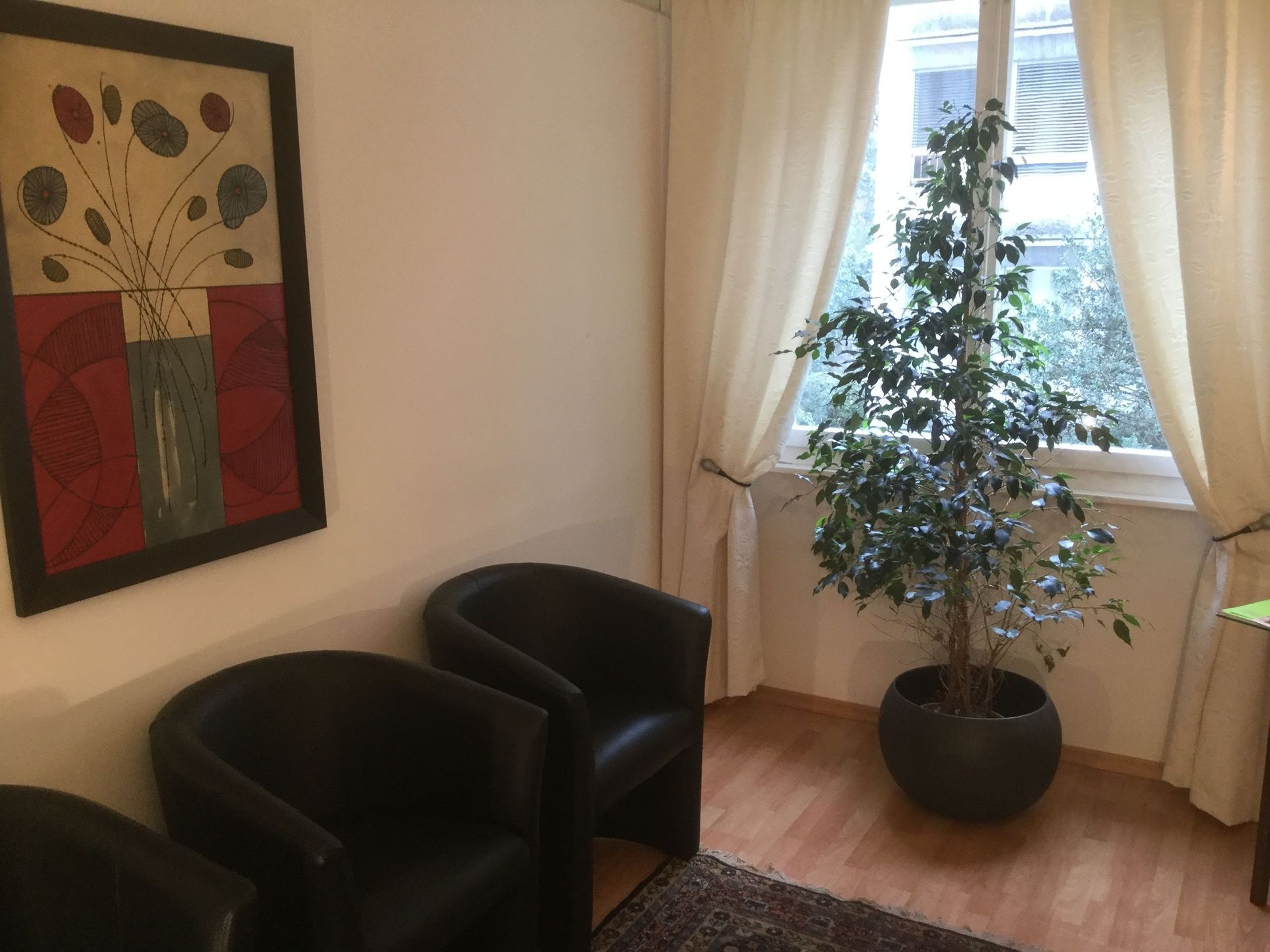 galerie-photos-cabinet-ana-assef-vaziri-psychologue-psychotherapeute-lausanne-vaud