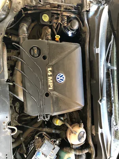 Compartimento del motor de un Volkswagen con cubierta de plástico negro y mangueras y depósito visibles.