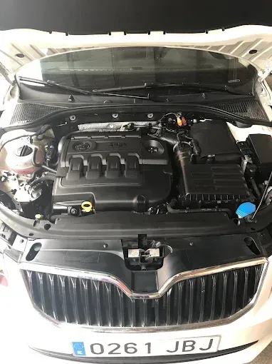 Compartimento del motor del coche abierto, mostrando la cubierta negra del motor y la parrilla con una matrícula visible.