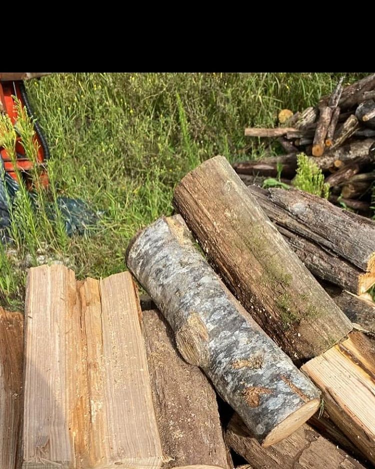 Des bûches sur de l'herbe.