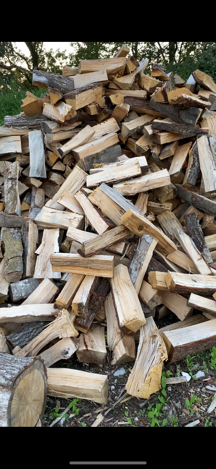 Un gros tas e bûches