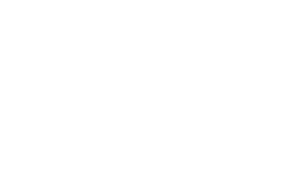logo Verónica González blanco