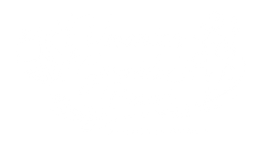 logo Verónica González blanco