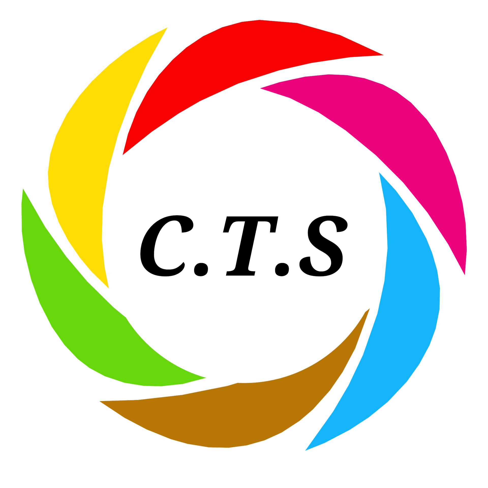 Conseil Traitement Service