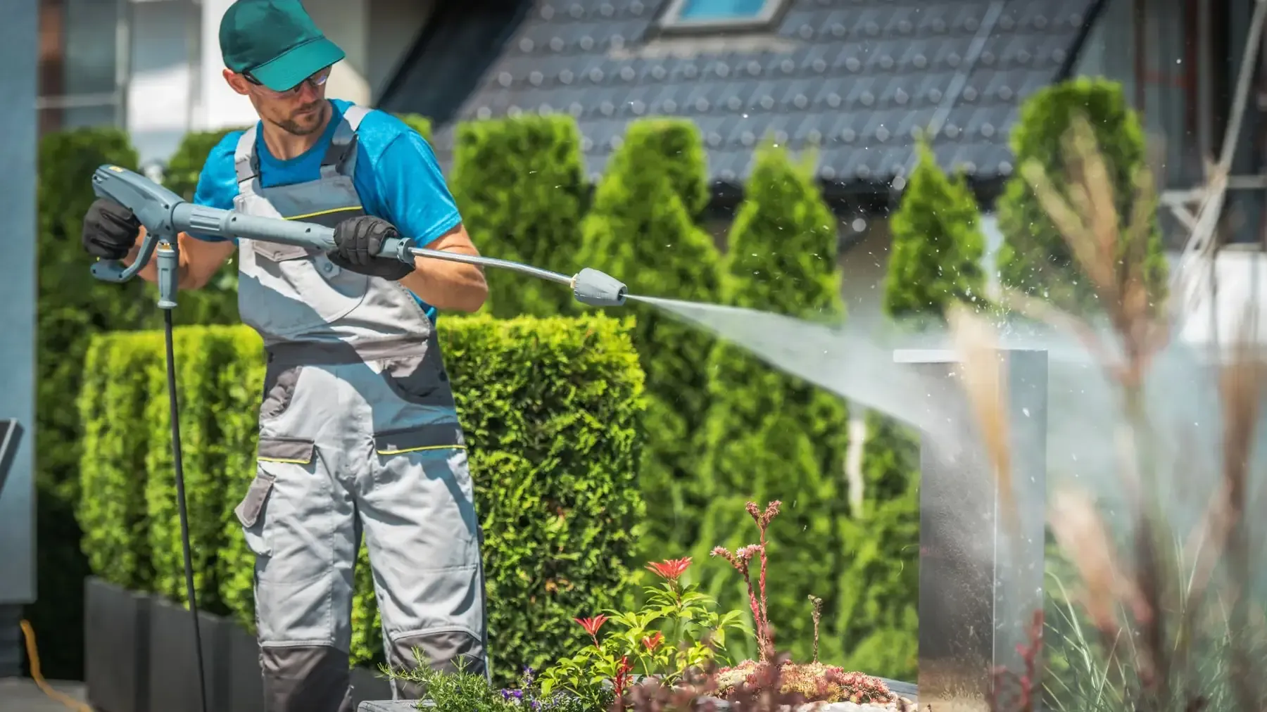 Un trabajador con uniforme azul rocía plantas con una manguera en un jardín paisajístico.